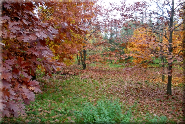  Herbstlandschaften